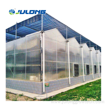 Commercial muti-span polycarbonate greenhouse